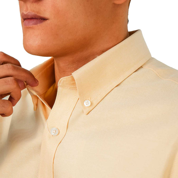 Cotton Oxford Flannel Short Sleeve Regular Wrinkle Free (Premium)