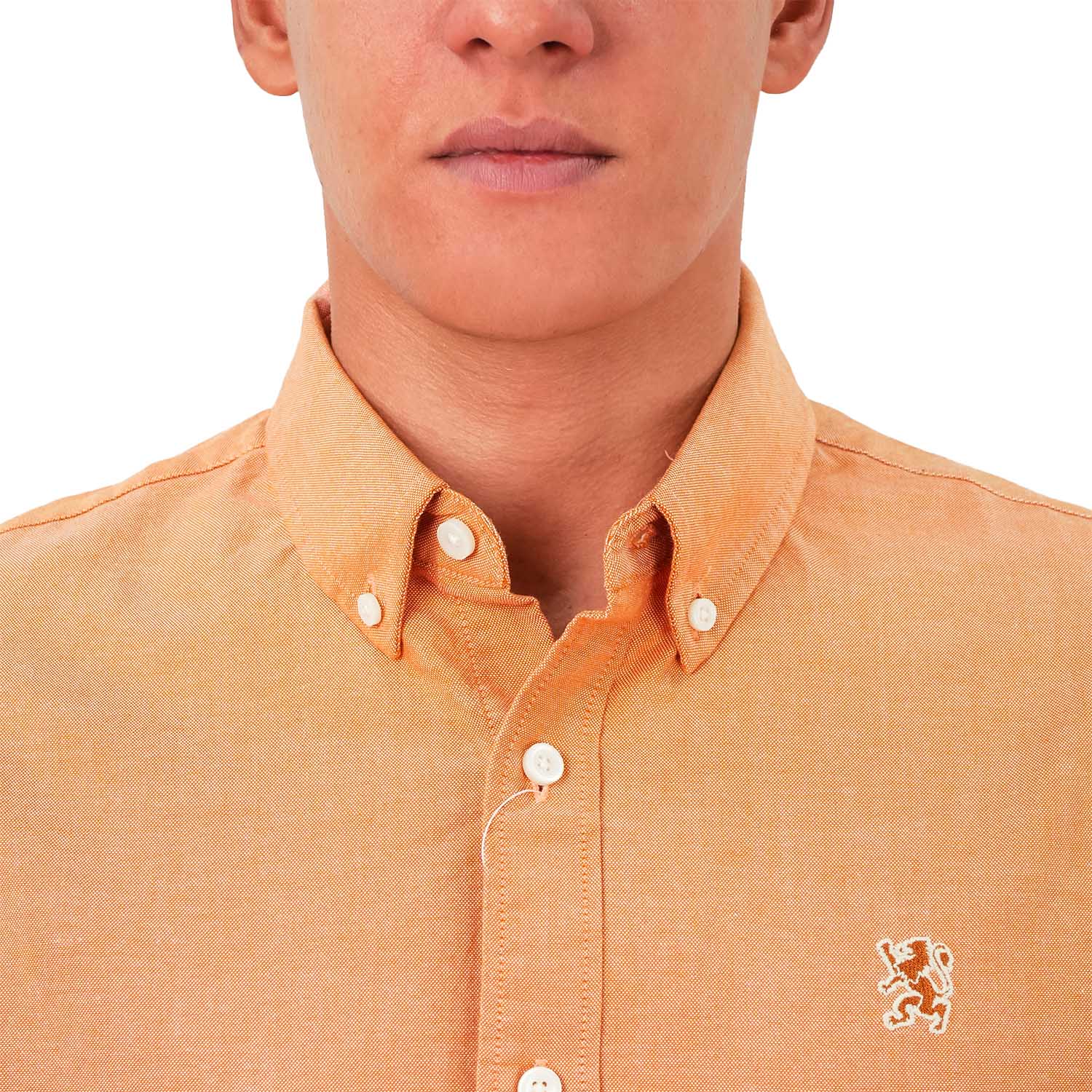 قميص قطني أكسفورد فلانيل بأكمام طويلة وقصة ضيقة مطرزة، قابل للغسل