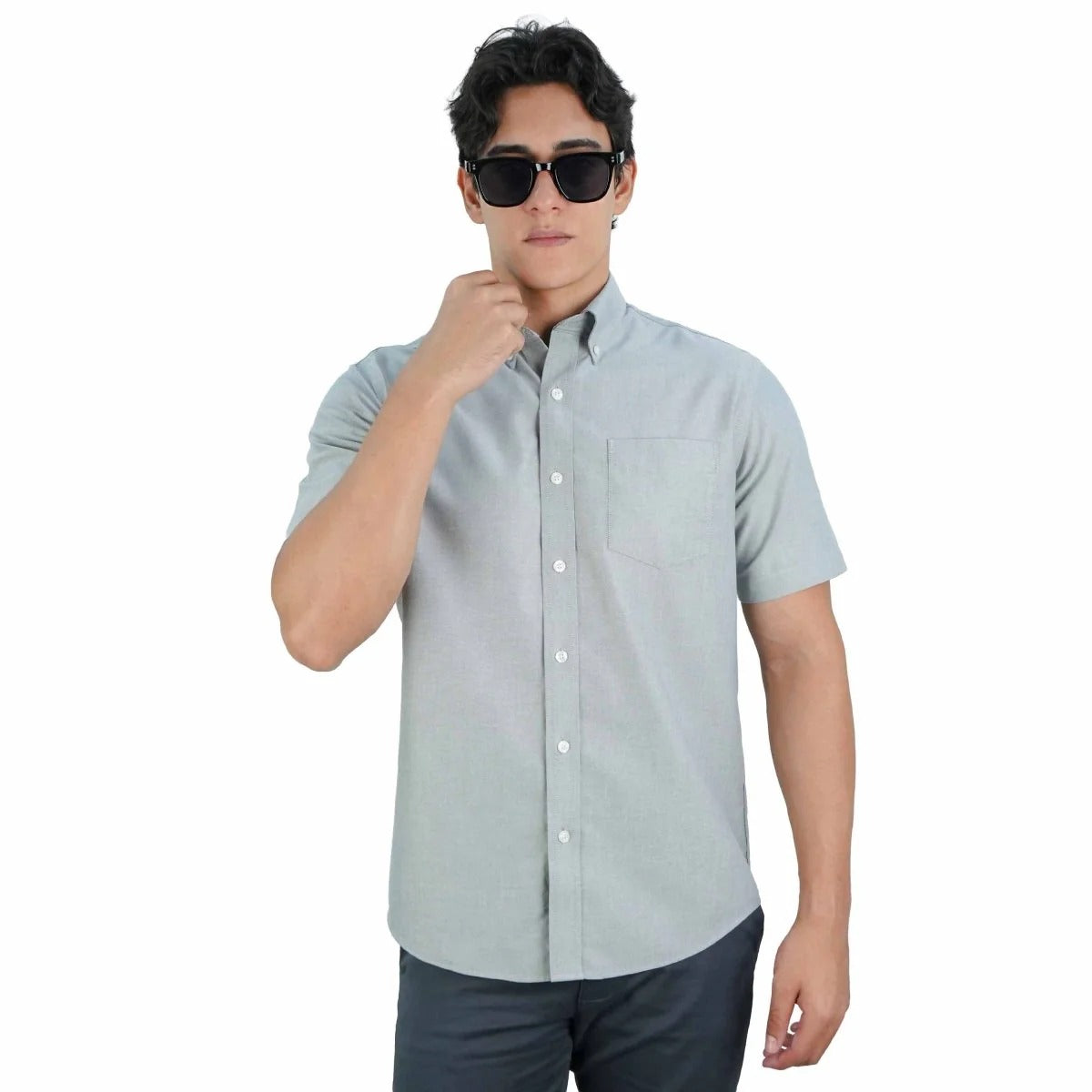 Cotton Oxford Short Sleeve Regular Wrinkle Free (Premium)