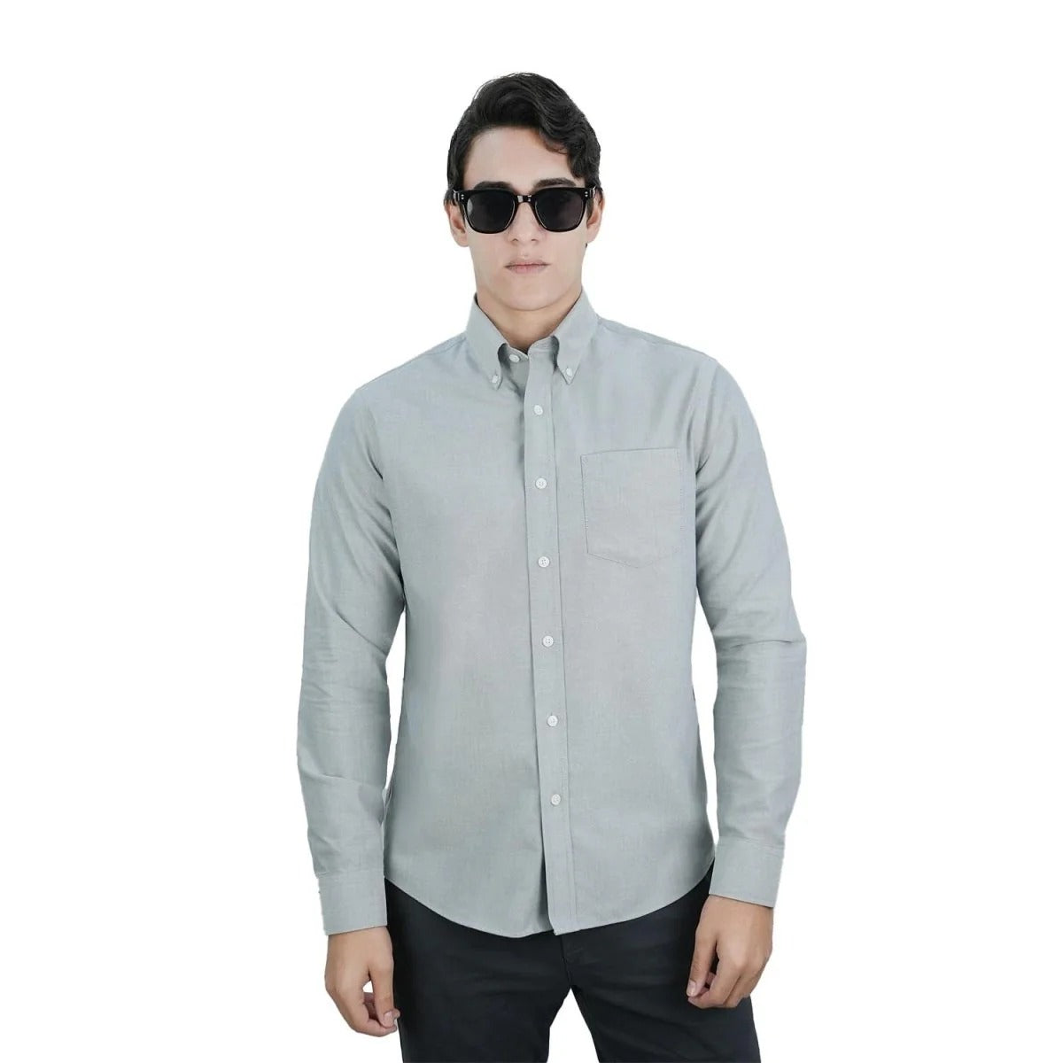 Cotton Oxford Long Sleeve Regular Wrinkle Free Shirt (Premium)