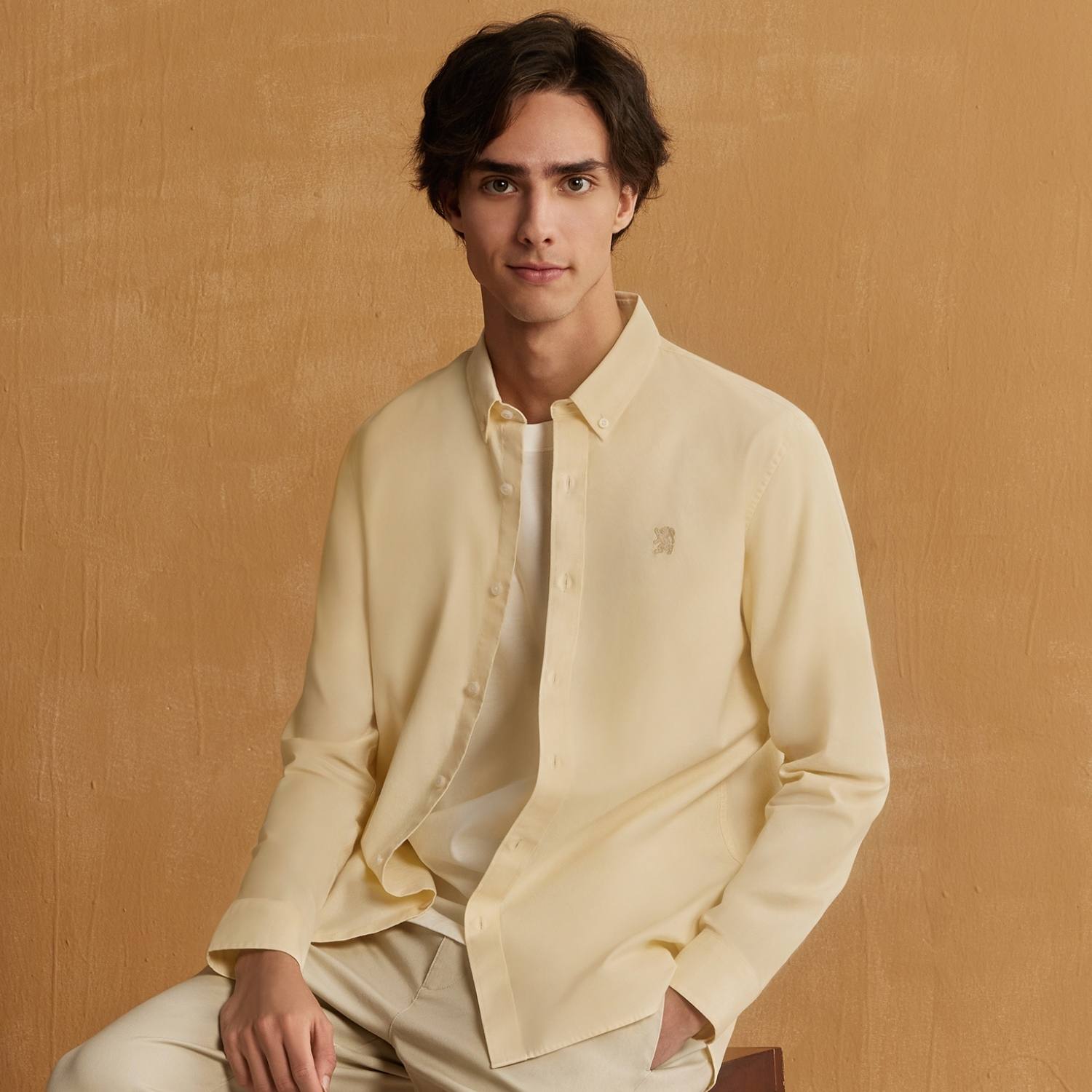 قميص قطني أكسفورد فلانيل بأكمام طويلة وقصة ضيقة مطرزة، قابل للغسل