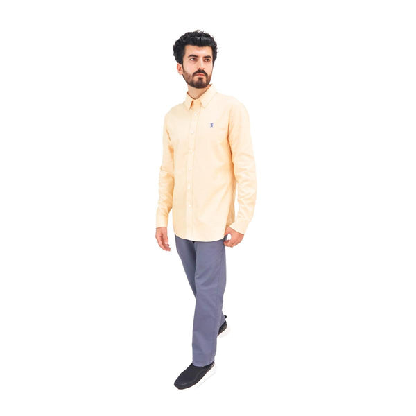 Cotton Oxford Long Sleeve Slim Embroidery Garment Wash Shirt