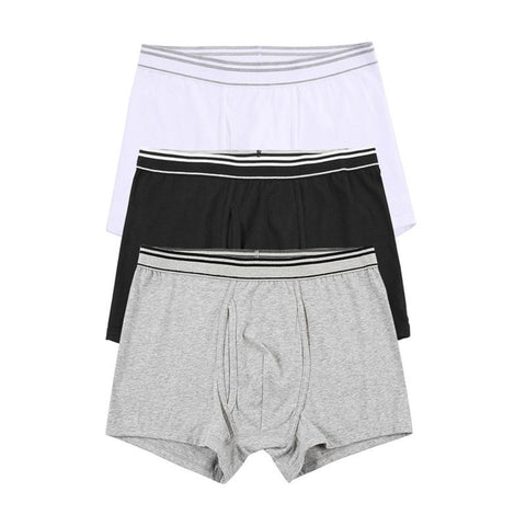 Cotton/Spandex Jersey 3 Pack Trunks (Jacquard Waistband Essentials)