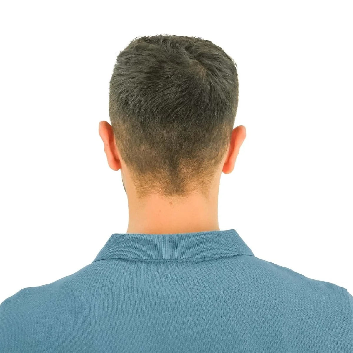 Cotton/Lycra Pique Flat Knitted Collar Short Sleeve Slim Embroidery Lion Polo