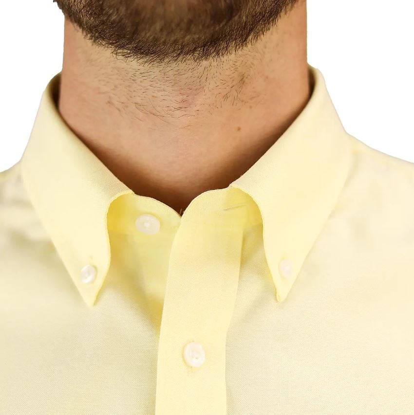 Cotton Wrinkle Free Shirt (Premium)