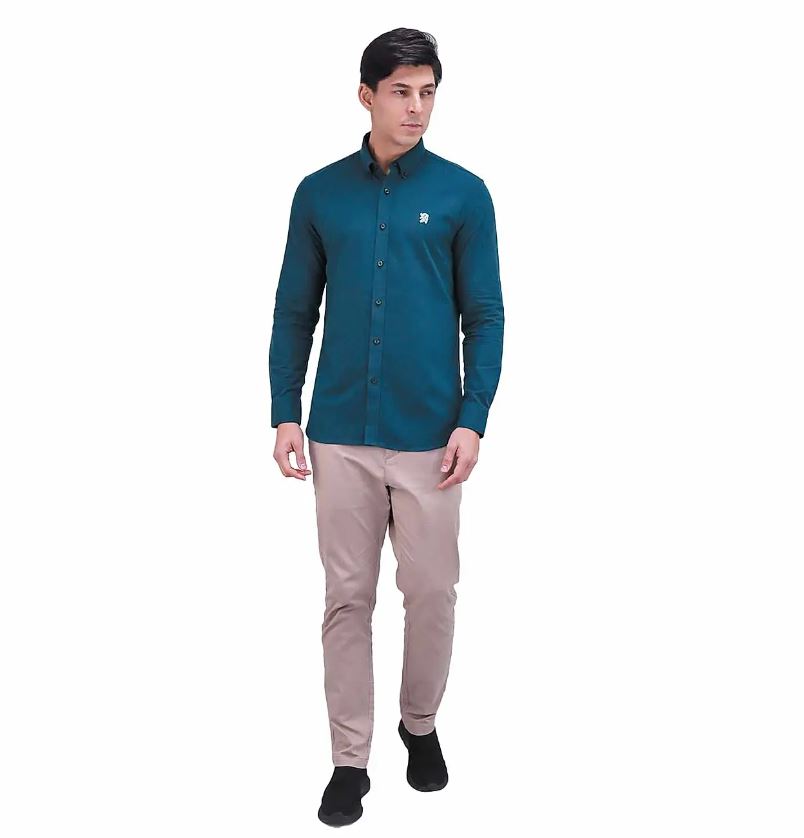 قميص قطني أكسفورد بأكمام طويلة وقصة ضيقة مطرزة، قابل للغسل